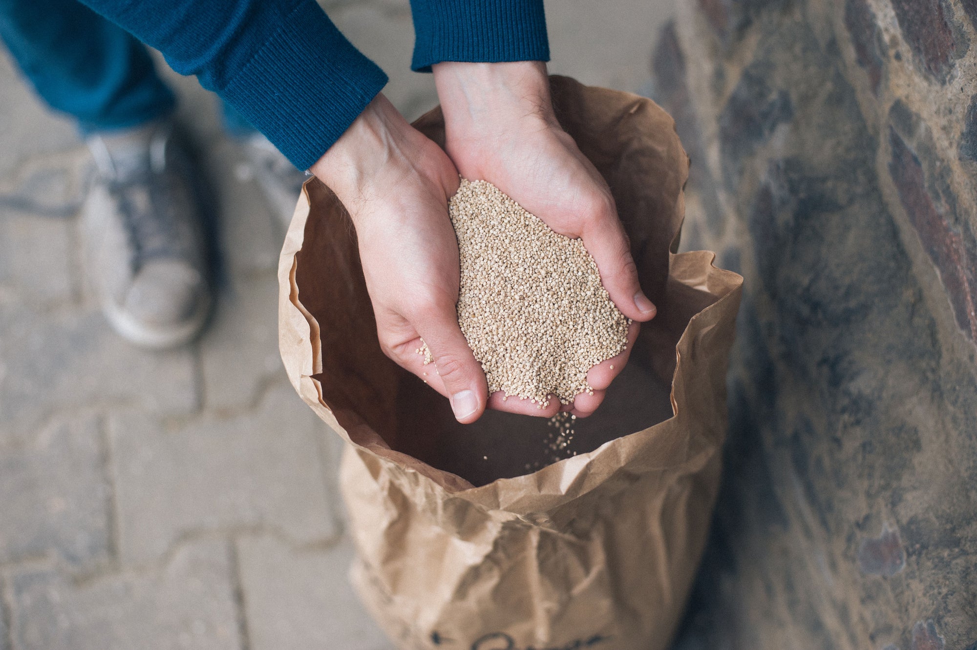 Quinoa aus dem Rheinland